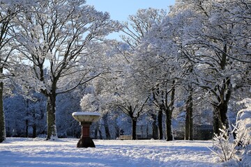 Snowy Park Scene With Frosted Trees, Bench, And Central Stone Fountain In Winter january 2026