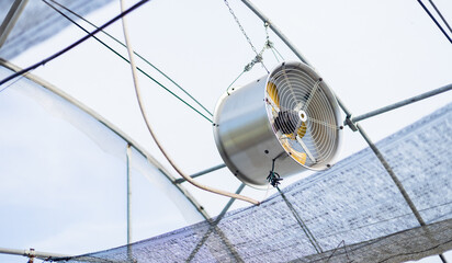 Industrial ventilation fan hanging inside greenhouse structure with metal frame and mesh netting for air circulation and temperature control in agricultural environment