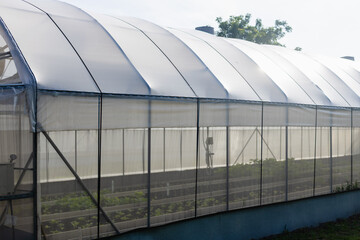 Greenhouse with translucent plastic cover and metal frame protecting young plants inside on sunny day with clear sky and trees in background