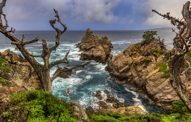 Cypress Cove at Point Lobos 