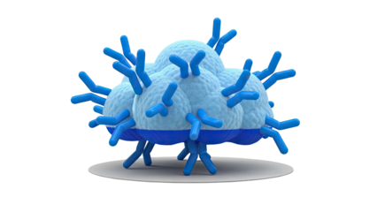 Antibody Binding to a Virus Particle