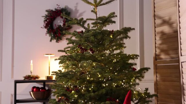 Beautiful Christmas tree with twinkling indoors, closeup
