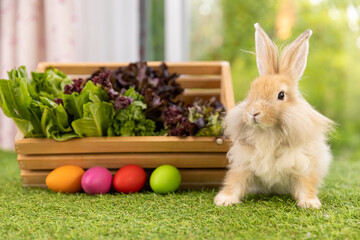 Healthy lovely baby bunny easter rabbit eating food, carrot, grass on green garden nature background with easter eggs. Cute fluffy rabbits with green vegetables, nature life. Symbol of easter day.