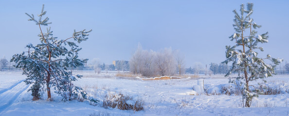 wide winter fir tree forest glade in snow under blue cloudy sky © Yuriy Kulik
