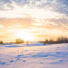 wide snowbound plain at the pale sunset, winter outdoor evening scene