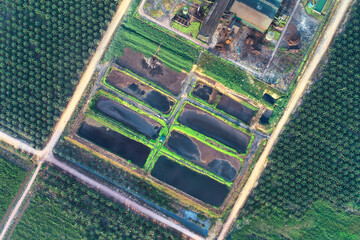 Top-down aerial view of industrial waste treatment ponds at a palm oil mill © IDR TAO