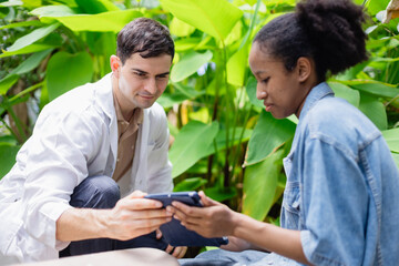 Young agricultural research team of scientists is working together in farm environment using digital tools to study plants and improve farming methods with dedication and focus