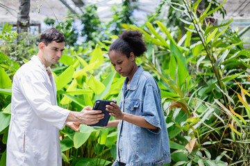 Young agricultural research team of scientists is working in farm greenhouse using digital tablet to study plant growth and gather data for their research project