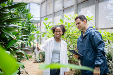 Young agricultural research team of scientist in farm is examining plants with enthusiasm and collaboration to improve crop growth and sustainability in natural environment