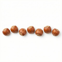 Fototapeta premium seven whole hazelnuts in shell with ample white space above and below