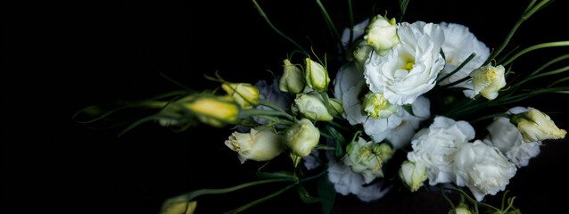 White Eustoma Roses On Black