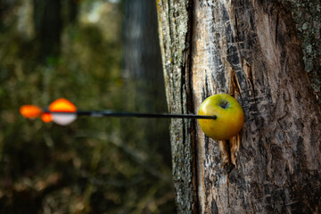 Target accuracy shows perfect aim. Target accuracy proves sharp focus. Target accuracy reflects...