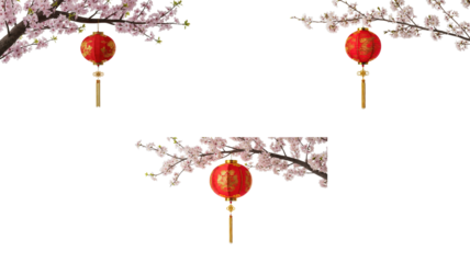 Lantern on Blossom Branch