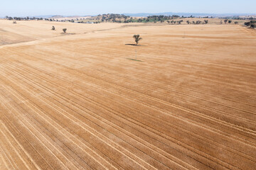 Harvested Wheat Field - Cowra NSW Australa - Aerial view