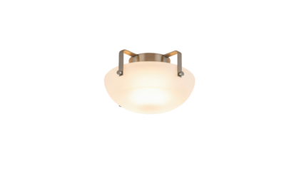 Frosted Glass Ceiling Light Fixture with Brushed Nickel Hardware isolated PNG with Transparent Background