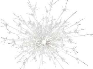 Abstract white fractal explosion with intricate branching patterns isolated on transparent background