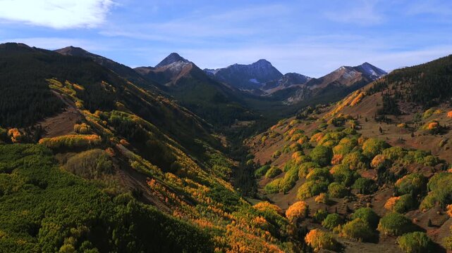 Autumn Fall morning blue sky sunny snowy Capitol Peak creek trail wilderness Aspen Snowmass Colorado aerial drone quaking aspen tree grove White River Forest Elk Range Rocky Mountains circle right