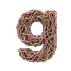 Naklejka premium earthworm letter G - Lowercase 3d earthworm font isolated on white background. This alphabet is perfect for creative illustrations related to gardening, compost, horror concept. Generative AI