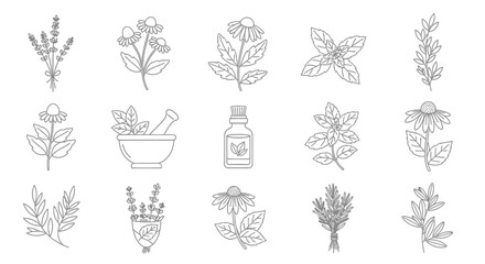 Stunning collection of herbal remedies featuring lavender, echinacea, mint, and essential oil bottle for wellness and natural healing concepts