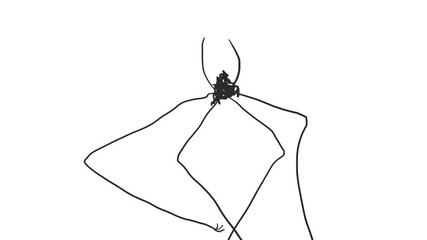 A harvestman spider or a large insect with long thin legs and antennae moves across the screen.