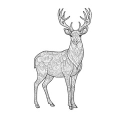 Intricate deer with detailed pattern artwork for creative coloring and artistic expression