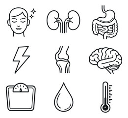 Fototapeta premium Hand drawn line art health icons set featuring human organs, energy, and health indicators for medical and wellness design