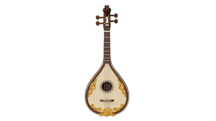 Lute-like string instrument with ornate details