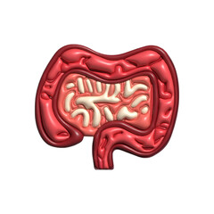 3D Design anatomy of human. Human Organ Anatomy Cartoon.