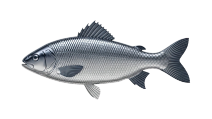 Silver Fish Sculpture