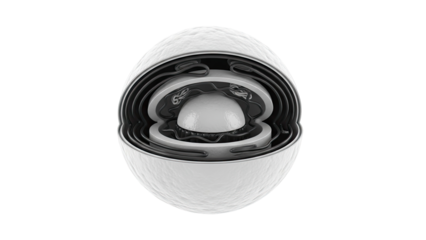 Cutaway of the Nucleus