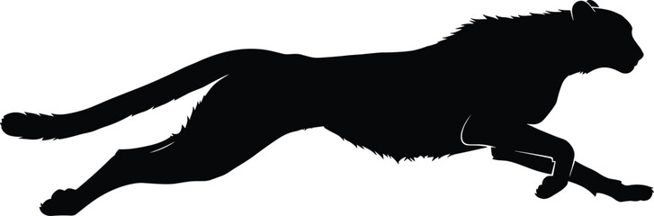 Black cheetah silhouette running fast isolated on white background, predatory wild cat sprinting in motion for sport and wildlife design © Rana