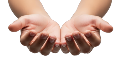 A pair of cupped hands against a transparent background.
