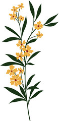Elegant yellow Flower Botanical Illustration