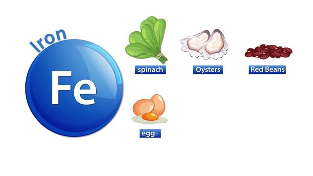 Iron Nutrient Icon with Animated High-Iron Food Sources
