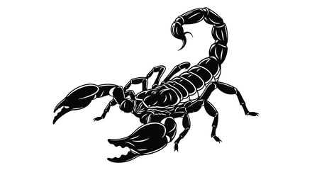 Detailed illustration of a scorpion in a striking black and white style silhouette © mrvect02