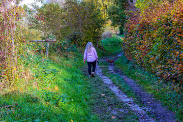 Adult woman walking her dog along a muddy path in Absbroekbos Conservation Area in an autumnal landscape,  back to camera, yellowish-green trees on sunny day in Munstergeleen, Limburg, Netherlands