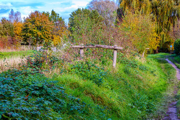 Small mound next to trail with wild plants and a wooden fence in Absbroekbos conservation area, trees with lush green, yellow and red foliage in background, Munstergeleen, Limburg, Netherlands