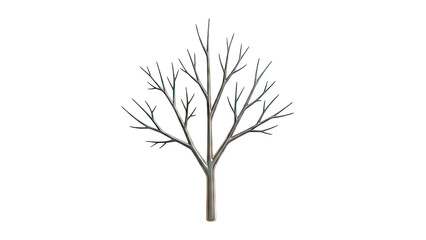 Obraz premium Bare Tree Branches