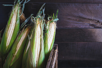 Fresh corn on the old wood, healthy food
