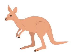 Illustration of a light brown kangaroo standing on a white background