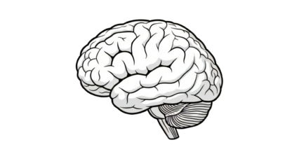 Minimal brain vector illustration with transparent white background and no gradient, ideal for digital use in medical apps, websites, education, and presentations.