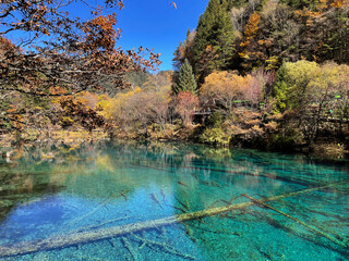 Beautiful scenery of Five Flowers Lake at Jiuzhaigou national park, Sichuan China in autumn season. Famous travelling destination 