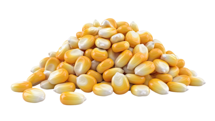 Pile of Dry Corn Kernels