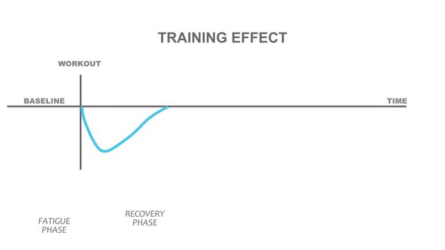 Graph animation of efficient muscle growth. Supercompensation mechanism. Dependence of training effect on workout intensity.