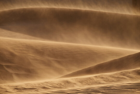 Captivating and Beautiful Sand Dune Patterns at Stunning Golden Hour