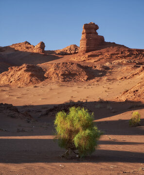 Majestic Desert Landscape with Unique Rock Formation and Green Bush