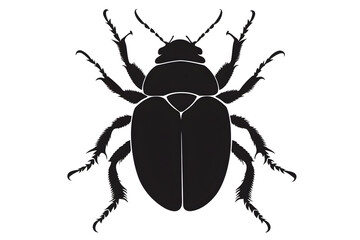 Black Beetle Silhouette: A minimalist, striking silhouette of a beetle, showcasing the intricate details of its exoskeleton and form, rendered with stark contrast.