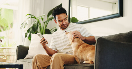 House, smartphone and man on couch, dog and relax with subscription for animal insurance. Apartment, pet owner and person on sofa, cellphone and care with social media, comfortable and companion