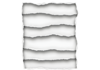 Torn paper strips isolated on transparent background with shadows