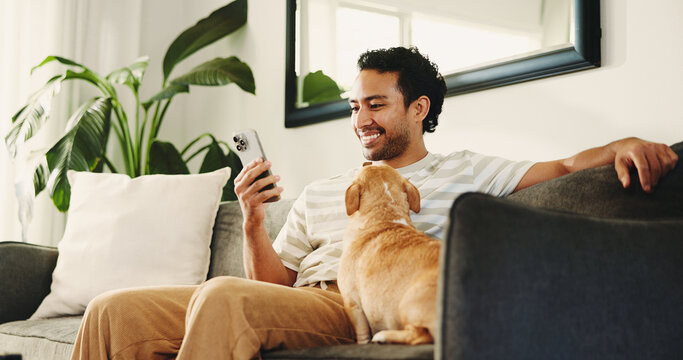 Home, smartphone and man on sofa, dog and relax with subscription for animal insurance. Apartment, pet owner and happy person with cellphone, app and care with social media, comfortable and companion